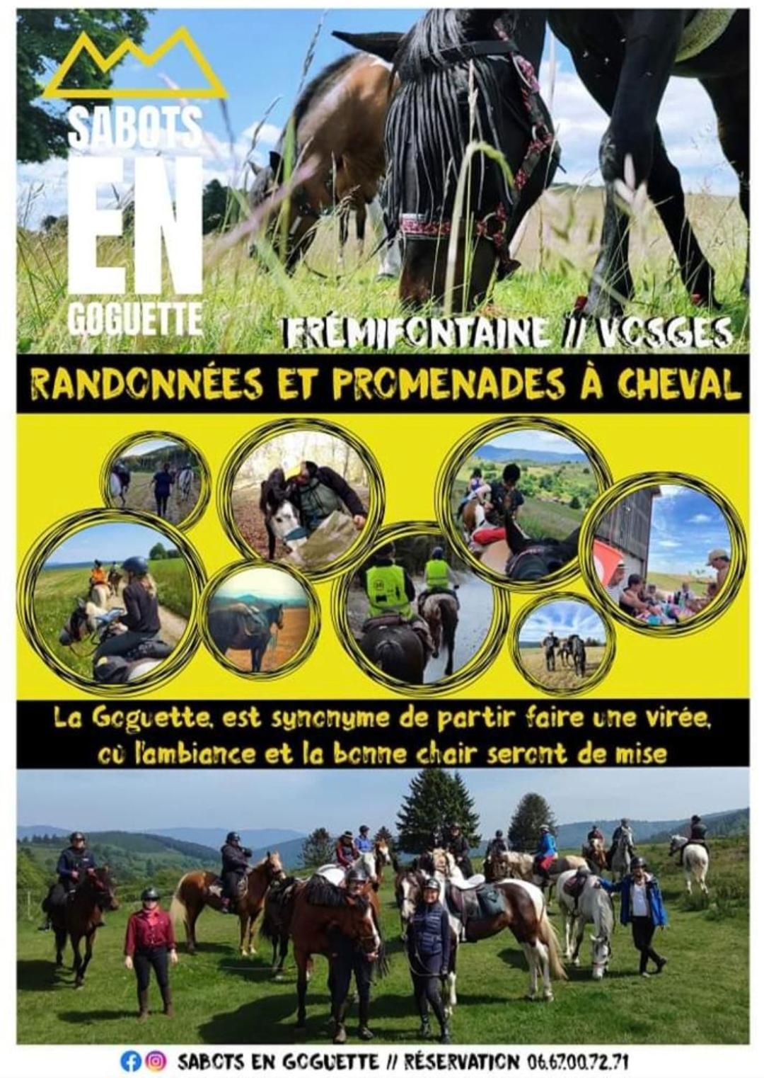Les Vergers D'Epona "Fremifontaine Vosges" מראה חיצוני תמונה